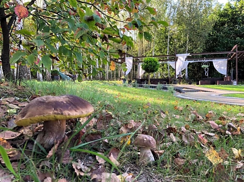 Gościniec Pod Lasem