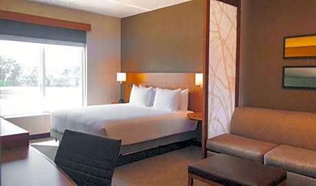 One-Bedroom King Suite with Sofa Bed