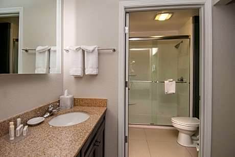 Studio, 1 Queen Bed with Sofa bed (1 Queen Bed and 1 Double Sofa Bed)