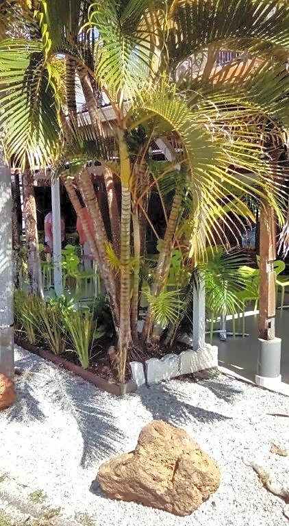 Hôtel Des Amandiers