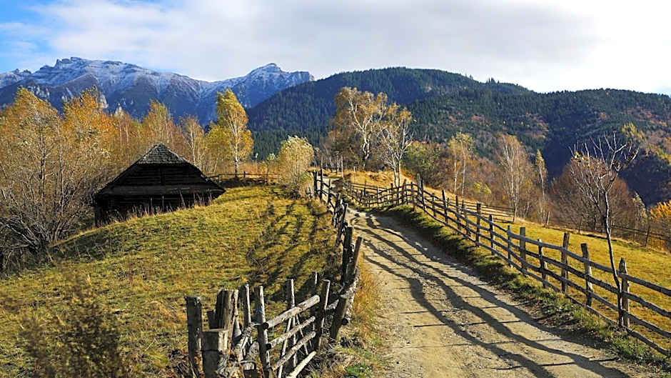 Pensiunea Montan din Bran,sat Simon SPA indoor