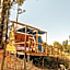 Foresight Eco Lodge & Safari