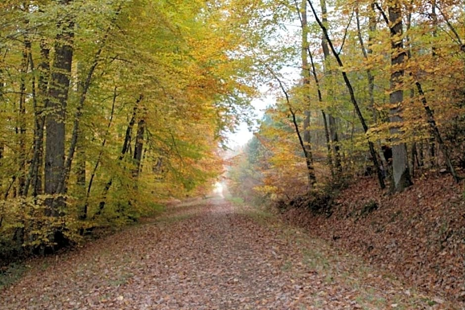 La Maison de l'Argentier du Roy