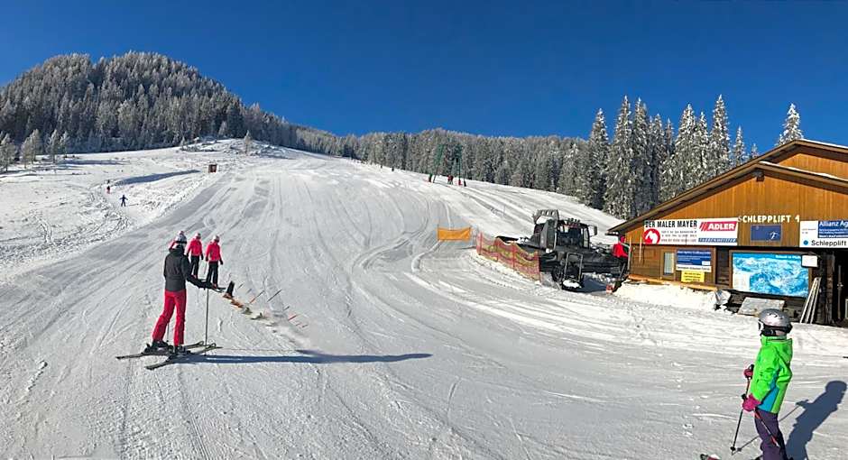 Almhaus & Almchalet Flattnitz