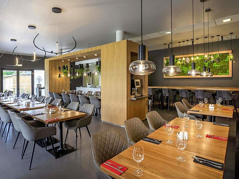 Ibis Plzen