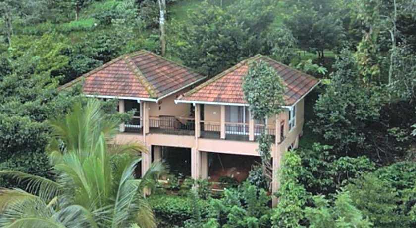 After the Rains - Rainforest Lodge