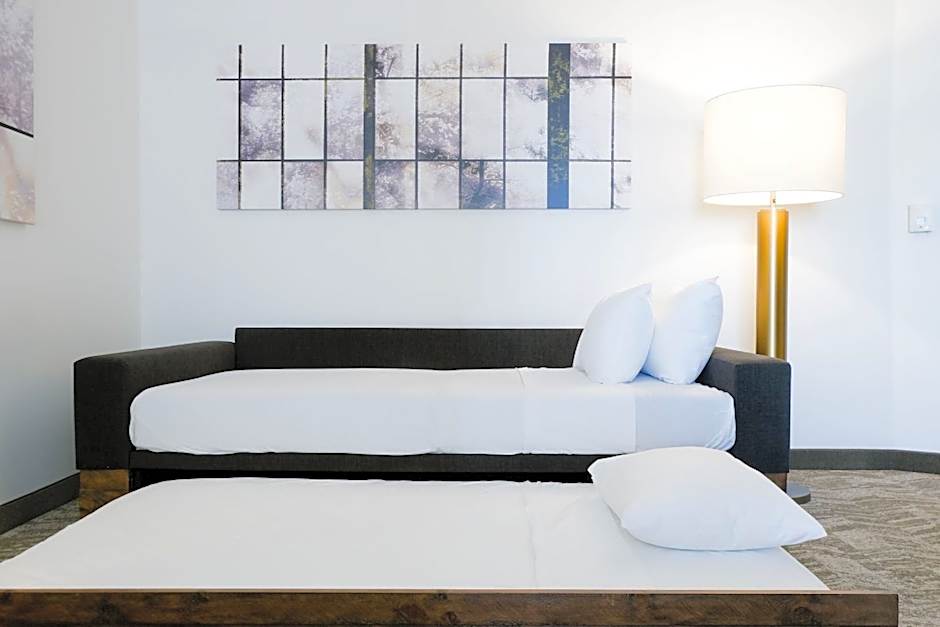 SpringHill Suites by Marriott Dallas Lewisville