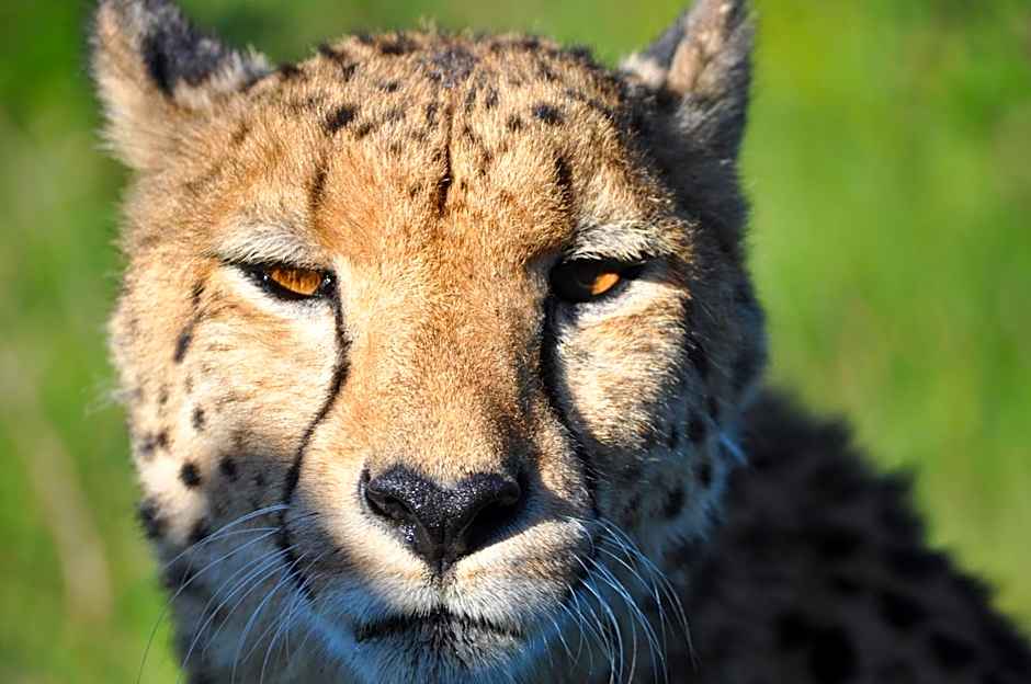 Hopewell Private Game Reserve