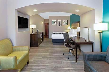 One-Bedroom King Suite - Non-Smoking