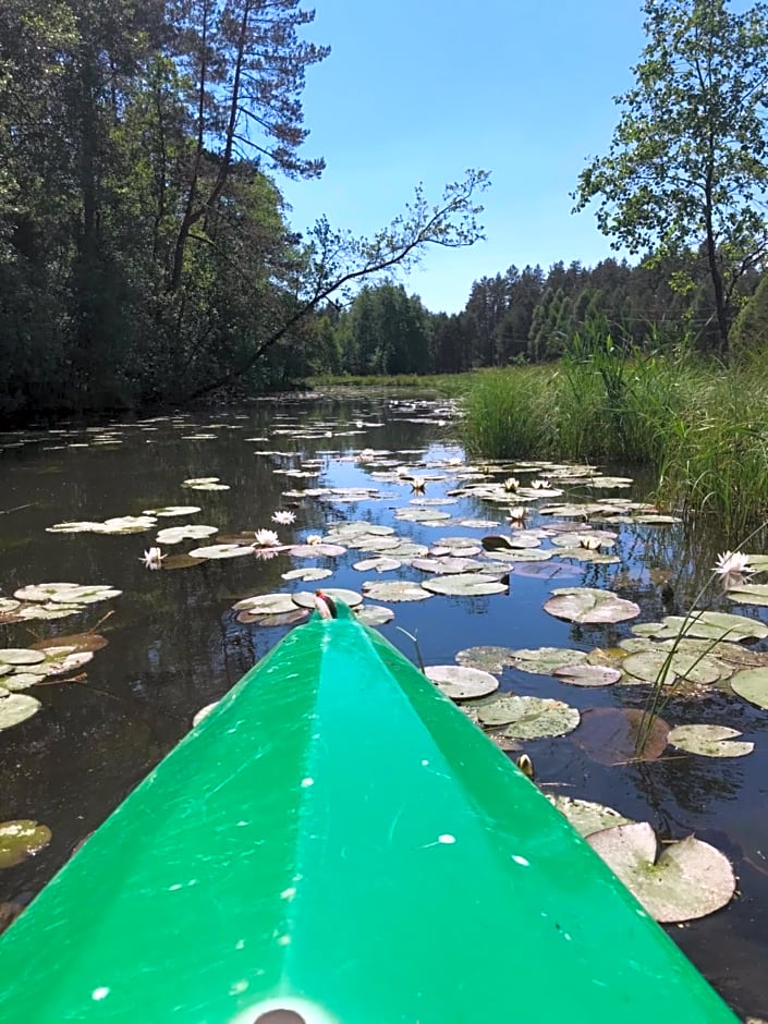Dom letniskowy POŚRÓD KASZUBSKIEGO LASU