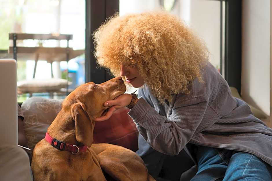 Good People design hostel