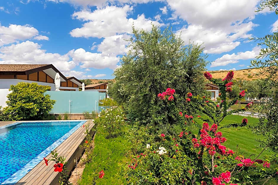 Setai Sea Of Galilee