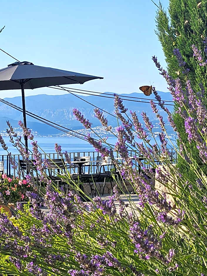 DESIGN hotel VERBENICUM