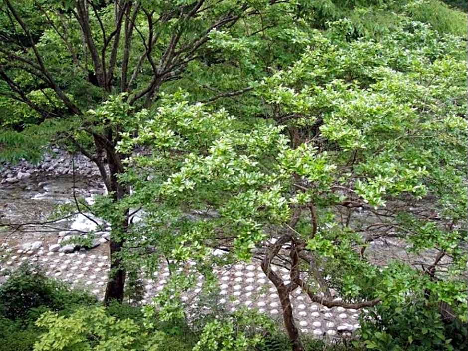 Annex Turtle Hotori-An                                                                    