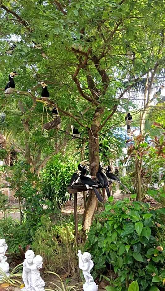 Baan Suan Kayoo 2 Buffalo Bay Aow Khao Kwai