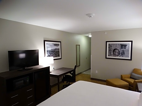 Suite-1 King Bed, Non-Smoking, High Speed Internet Access, Microwave And Refrigerator, Desk, Full Br