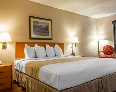 1 King Bed, Nonsmoking