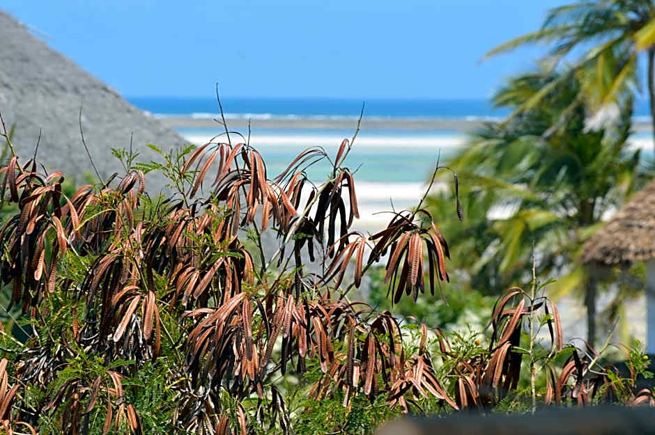 Pole Pole Beach House