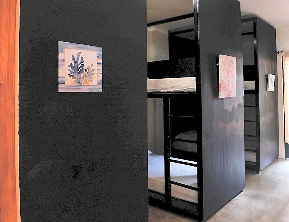 Photo 1 of 1 of Dormitory Room