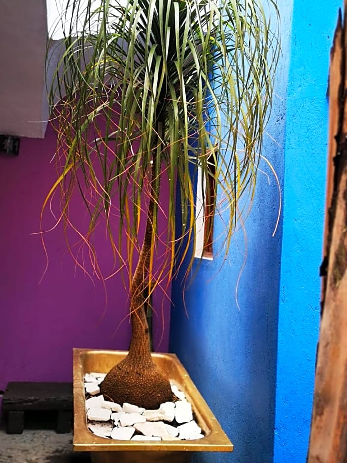 HOTEL BACANTES