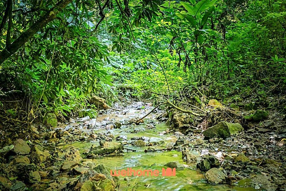Casa em Mairinque com Piscina e Área Verde