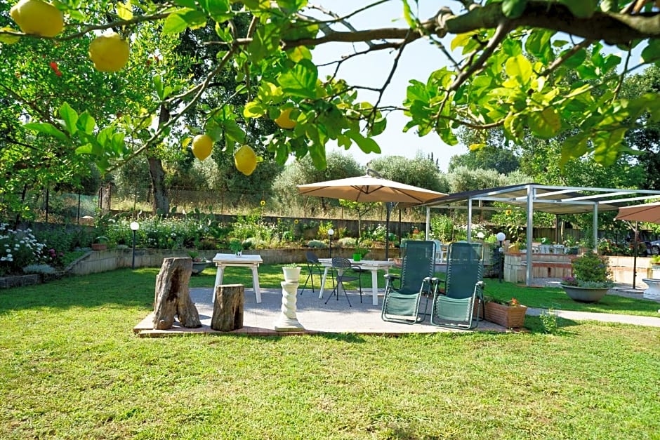 B&B Villa Le Mattine