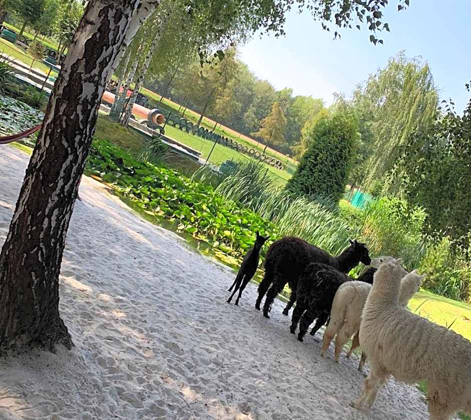 Hotel "Ksiezyc" w Swiebodzicach