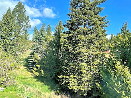 King Room with Sofa Bed