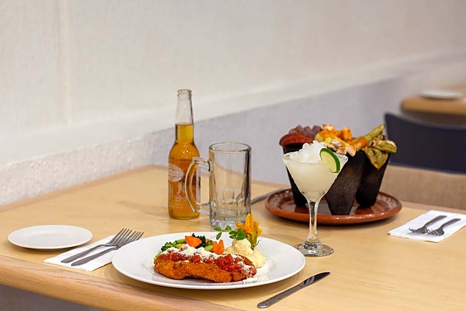 Hotel Guadalajara Plaza Expo