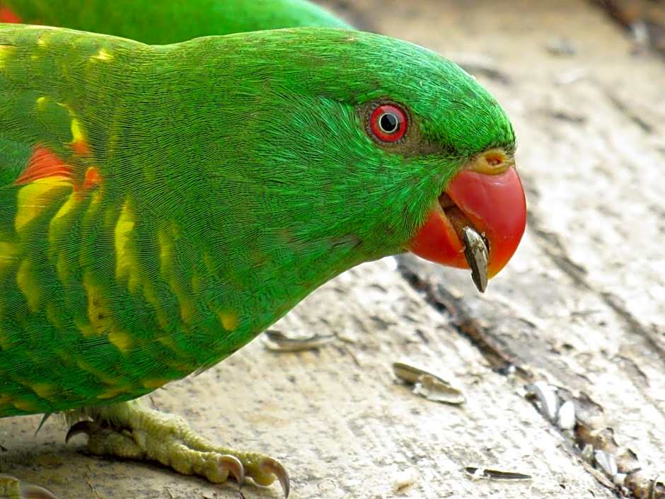 Edgewater Holiday Park