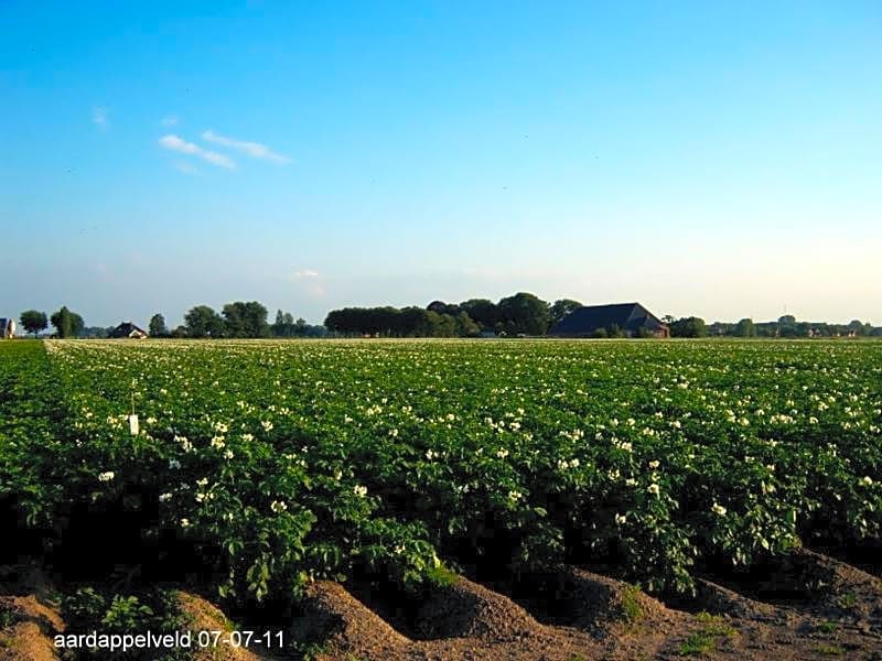 De Twee Paardjes