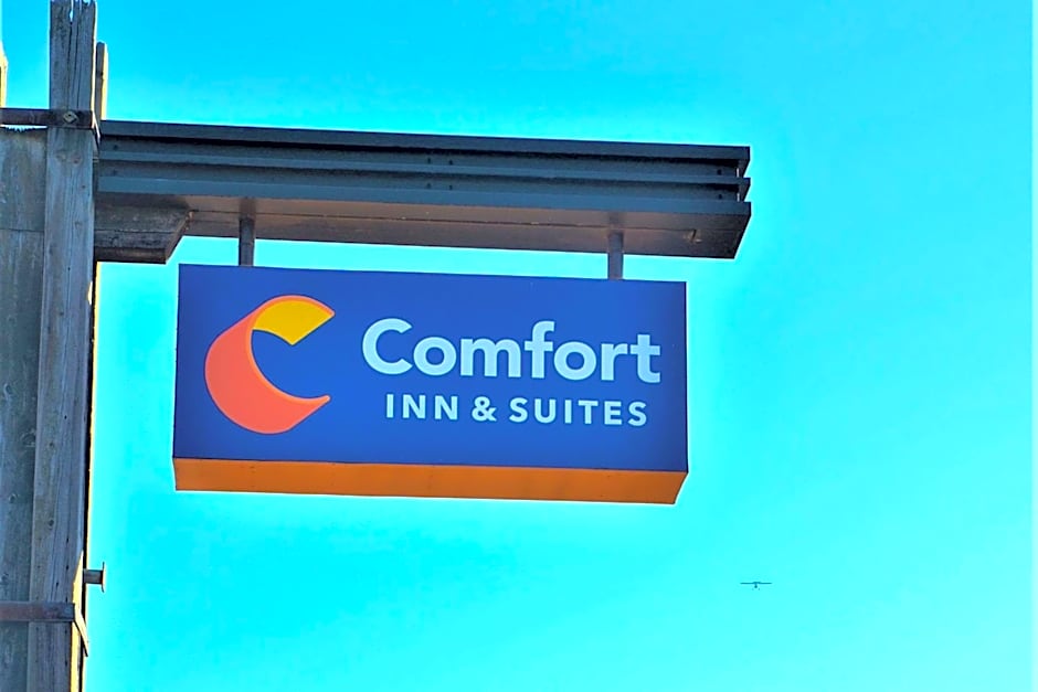 Comfort Inn & Suites Vancouver Downtown City Center