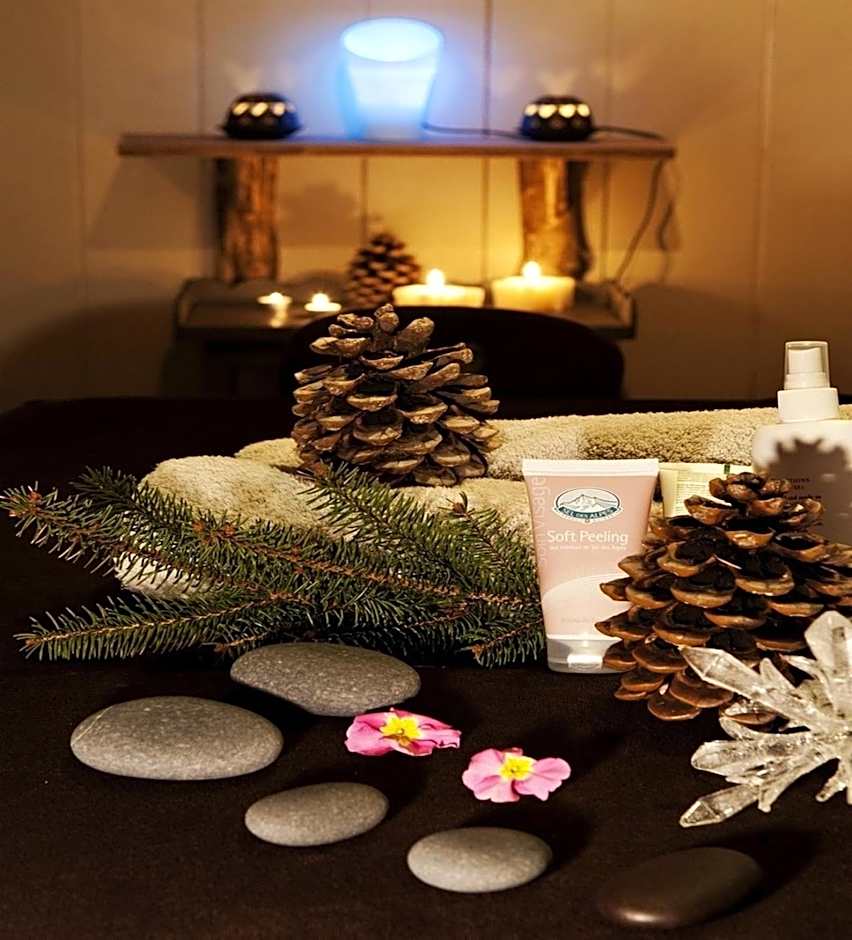 Residence Hôtelière La Renardiere