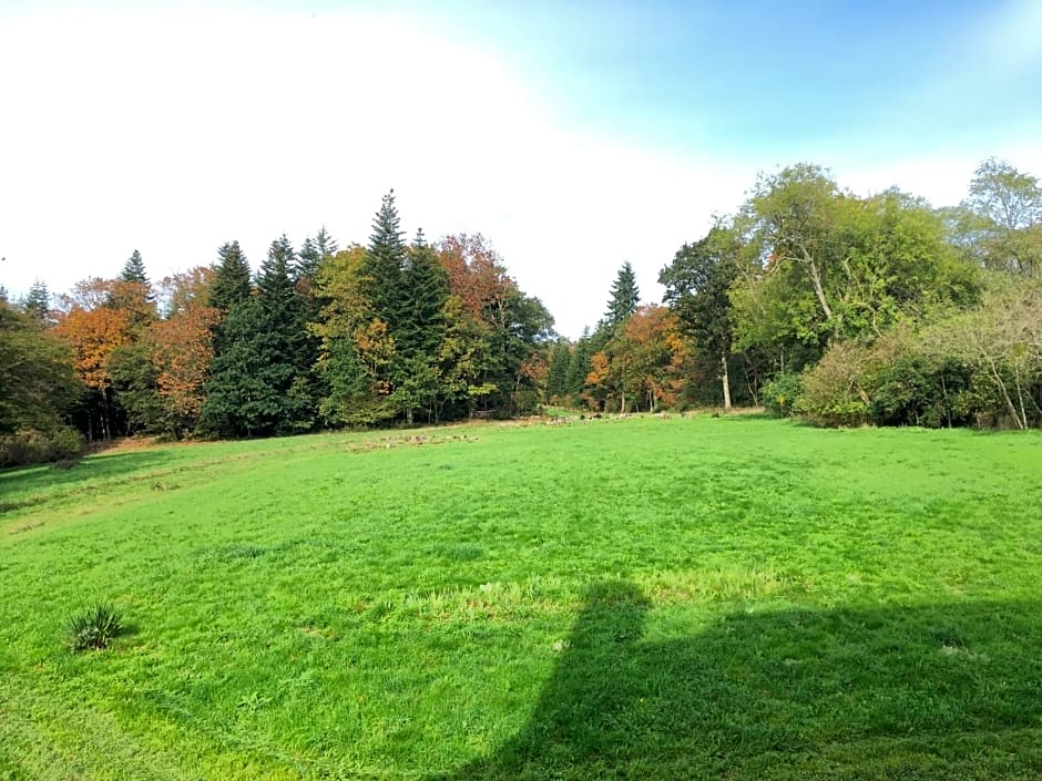 Château de La Ville-Huë