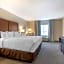 Comfort Inn & Suites Chestertown