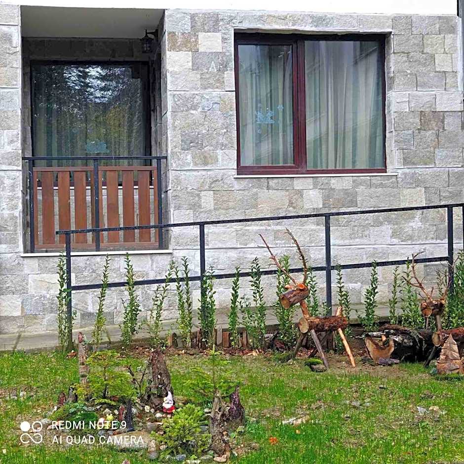 Borovets Gardens Studio Raya