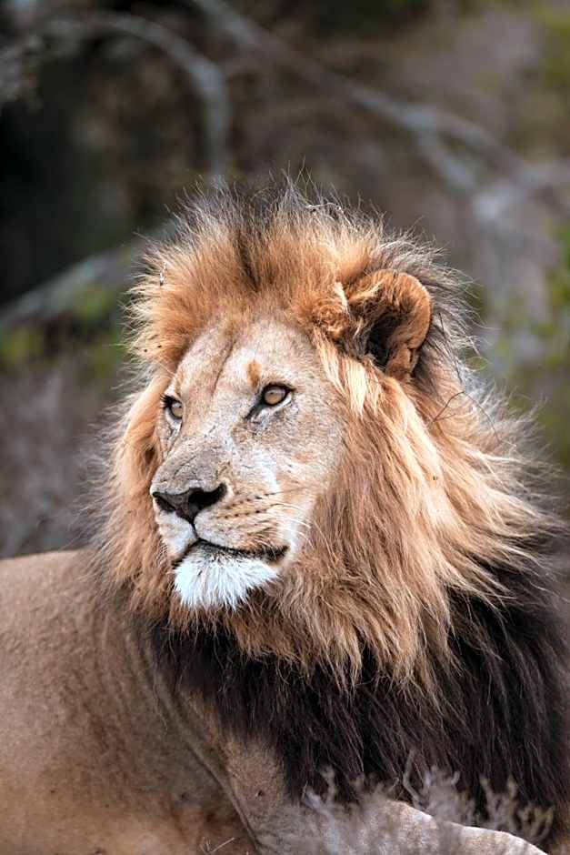 Kwandwe Private Game Reserve - Fort House