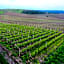 Seven Generations Winery Hotel