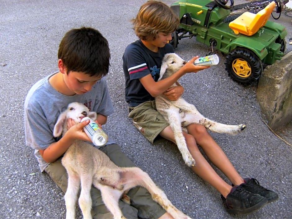 Vordersattlegghofhütte