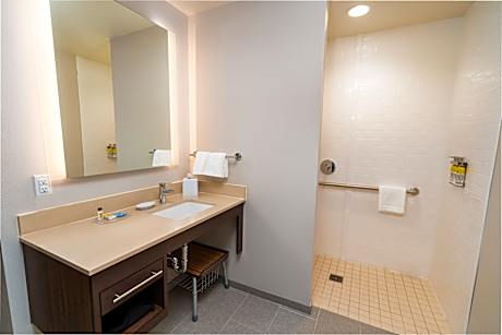 1 King 1 Bdrm Ste Comm Access Roll Shwr