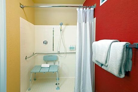 Room, 1 King Bed with Sofa bed (Mobility Accessible, Roll-In Shower)