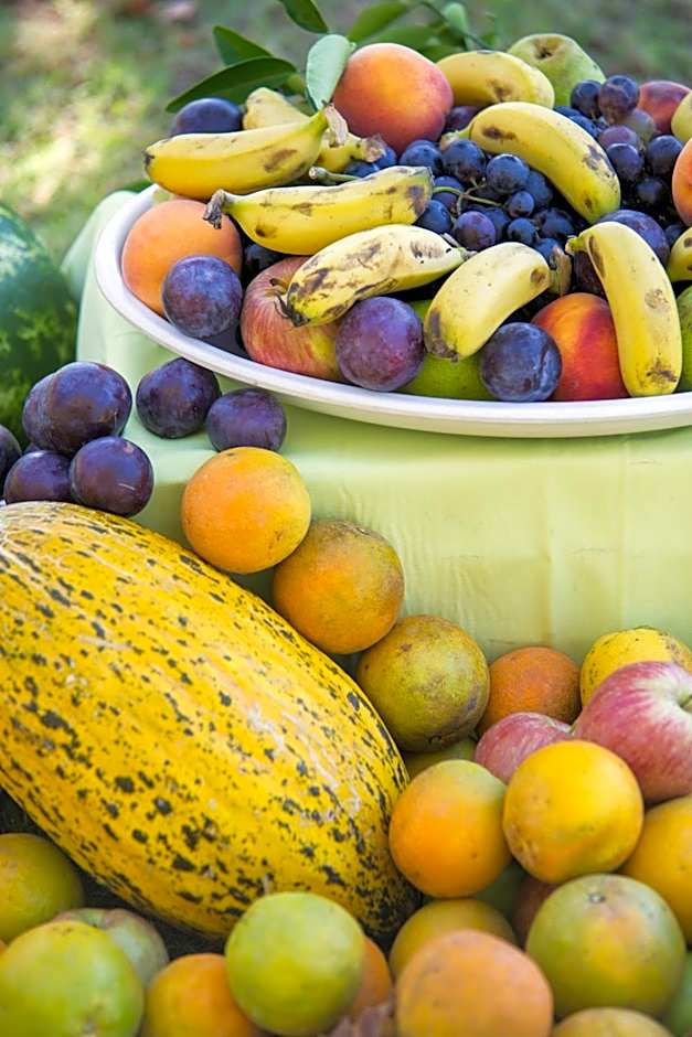 Lonicera World - Ultra All Inclusive