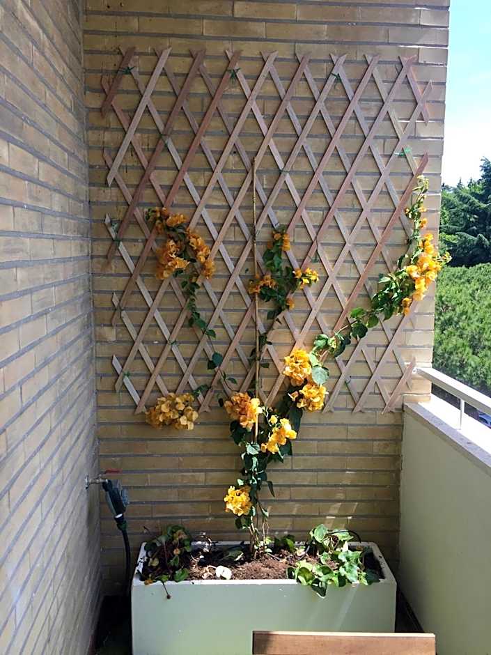 Happy Holiday in Rome b&b