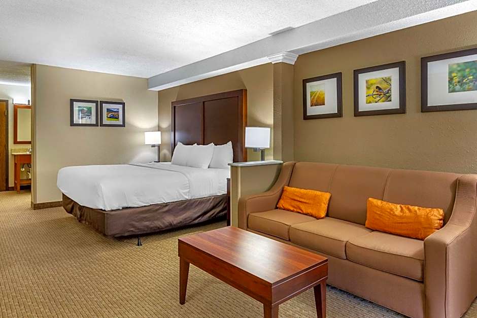 Comfort Inn & Suites