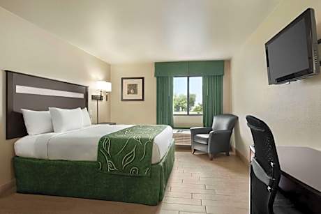King Room - Mobility Access/Non-Smoking