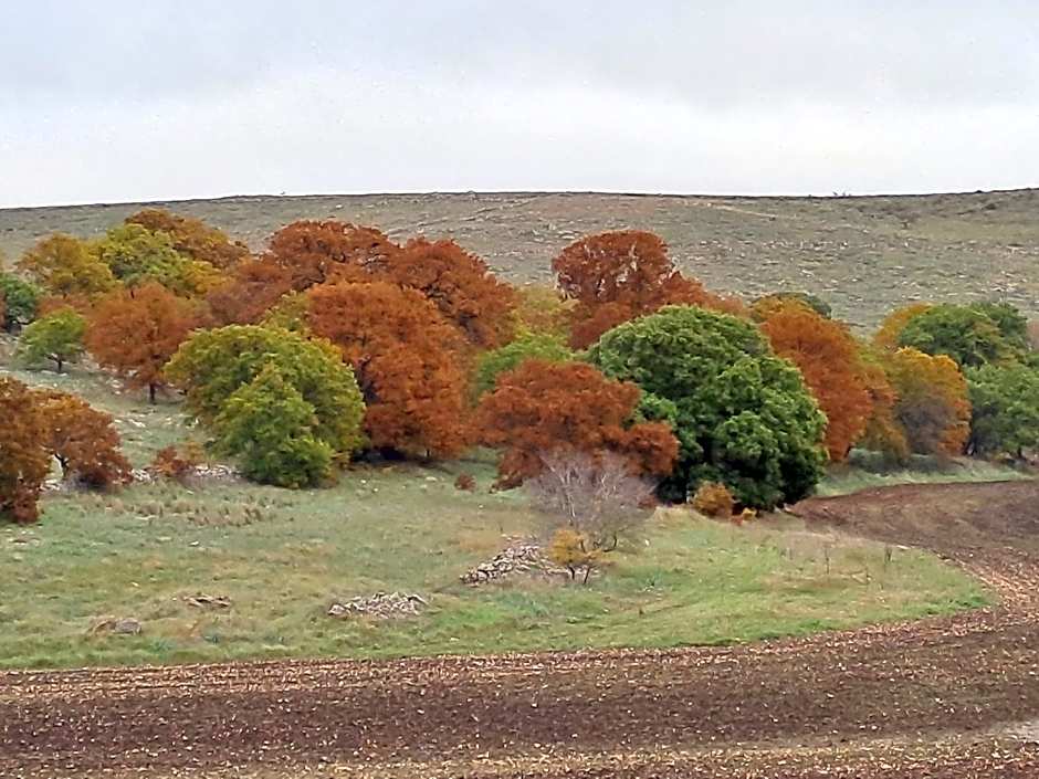 Giardino della Moscatella