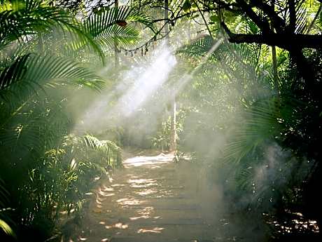 Nômade Temple Tulum