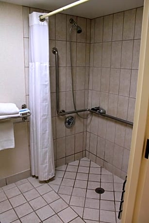 1 KING MOBILITY/HEARING ACCESS W/ RI SHWR