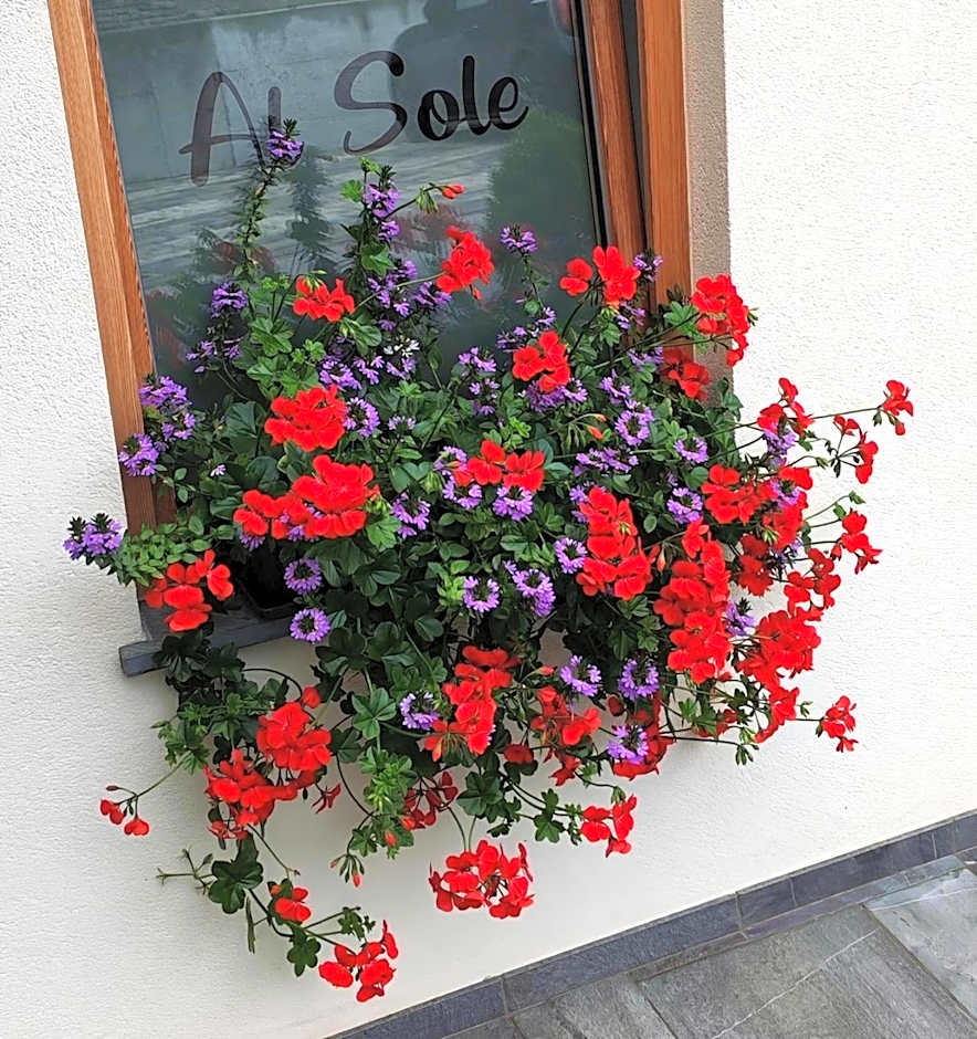 Al Sole B&B Valcomelico