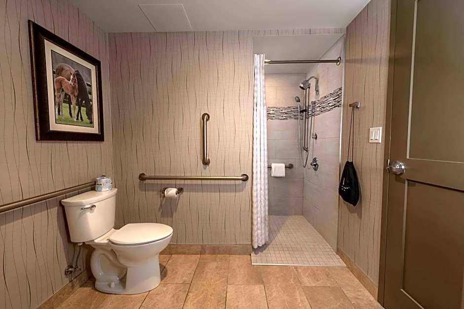 Embassy Suites By Hilton Saratoga Springs